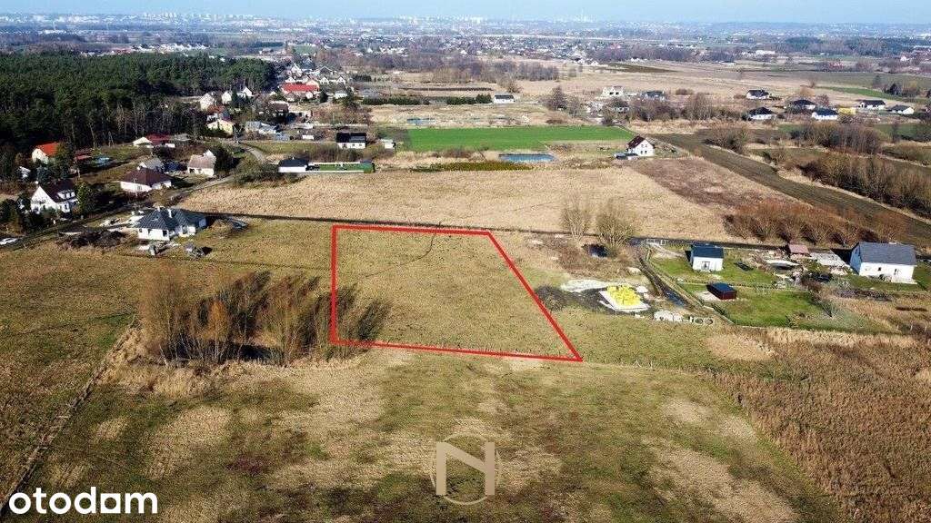 Działka, 4 200 m², Łagodzin - Pełny obrazek: 2/9
