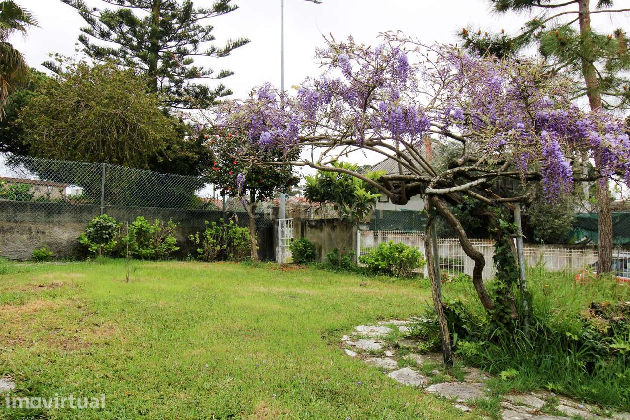 Casa de Madeira T2, em lote com 400m2, na Lagoa de Albufeira - Grande imagem: 4/39