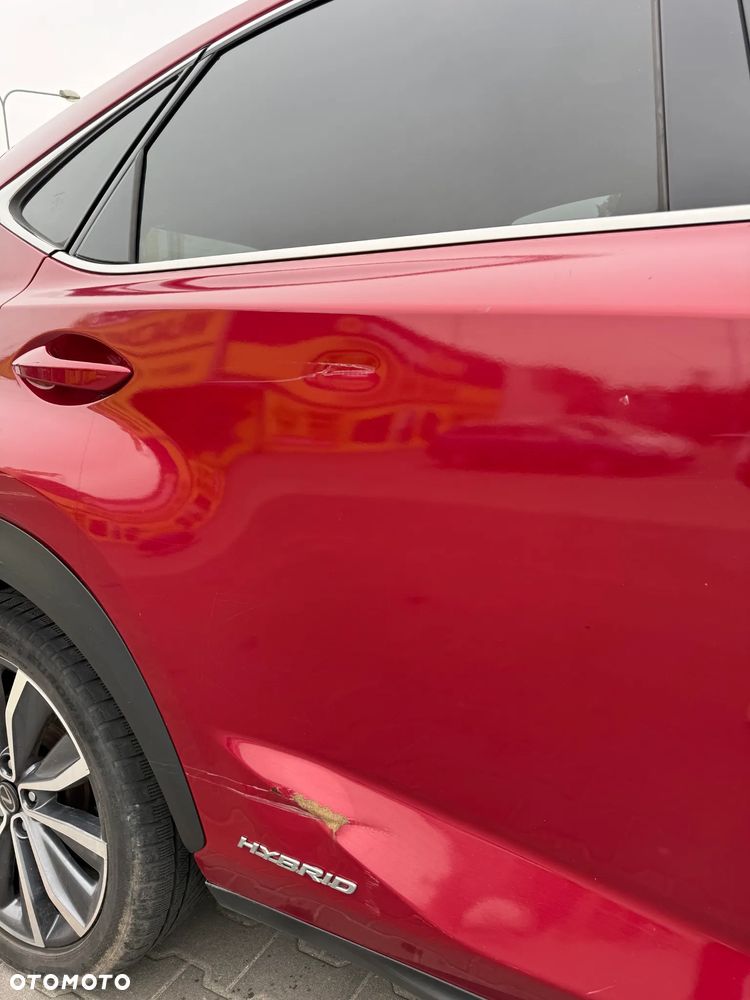 Lexus NX 300h F Sport AWD - 19