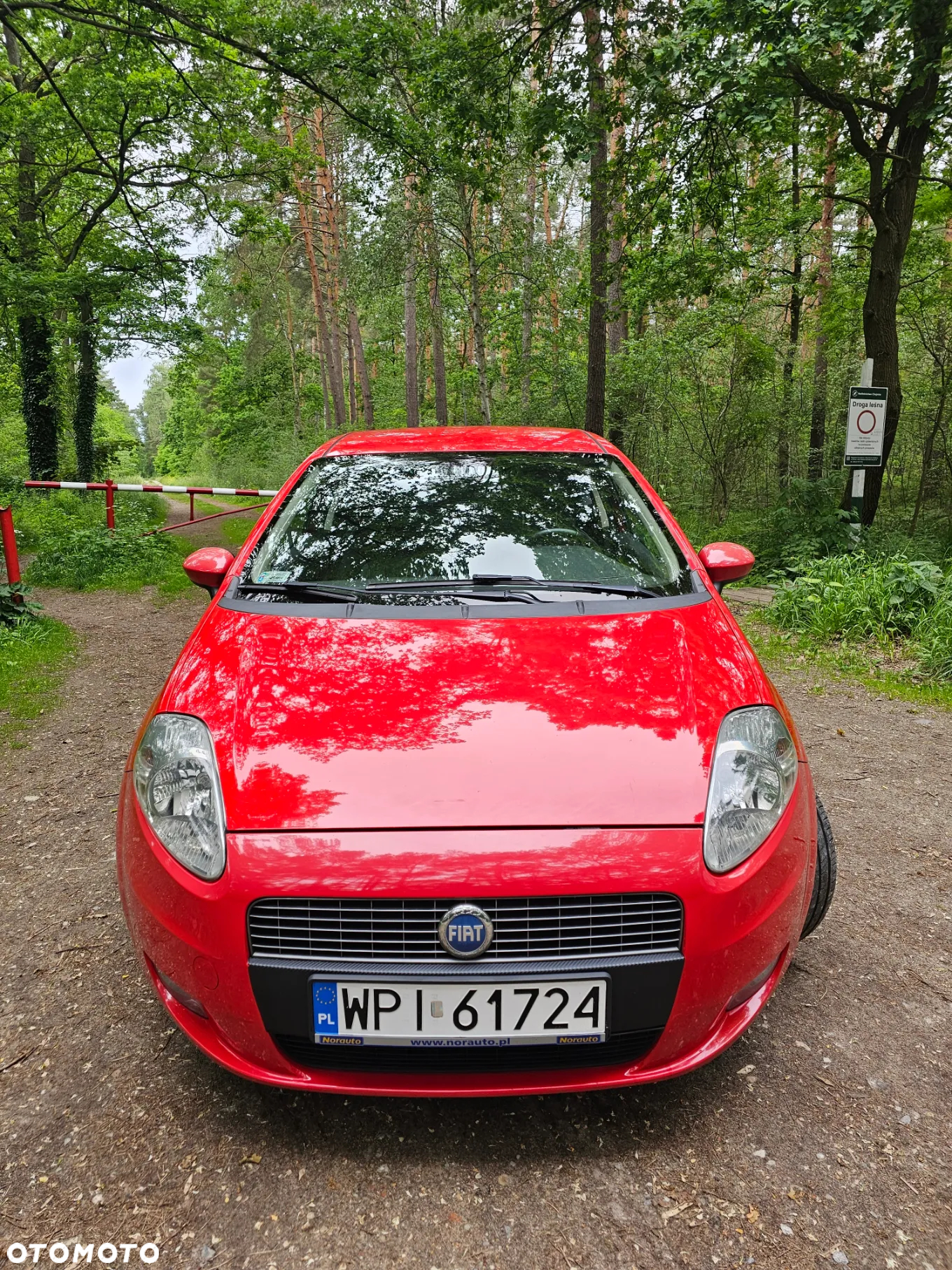 Fiat Punto - 2