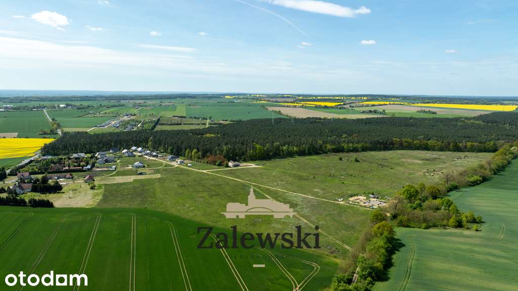 Działki na sprzedaż – Baczyna, przy lesie - Pełny obrazek: 2/9