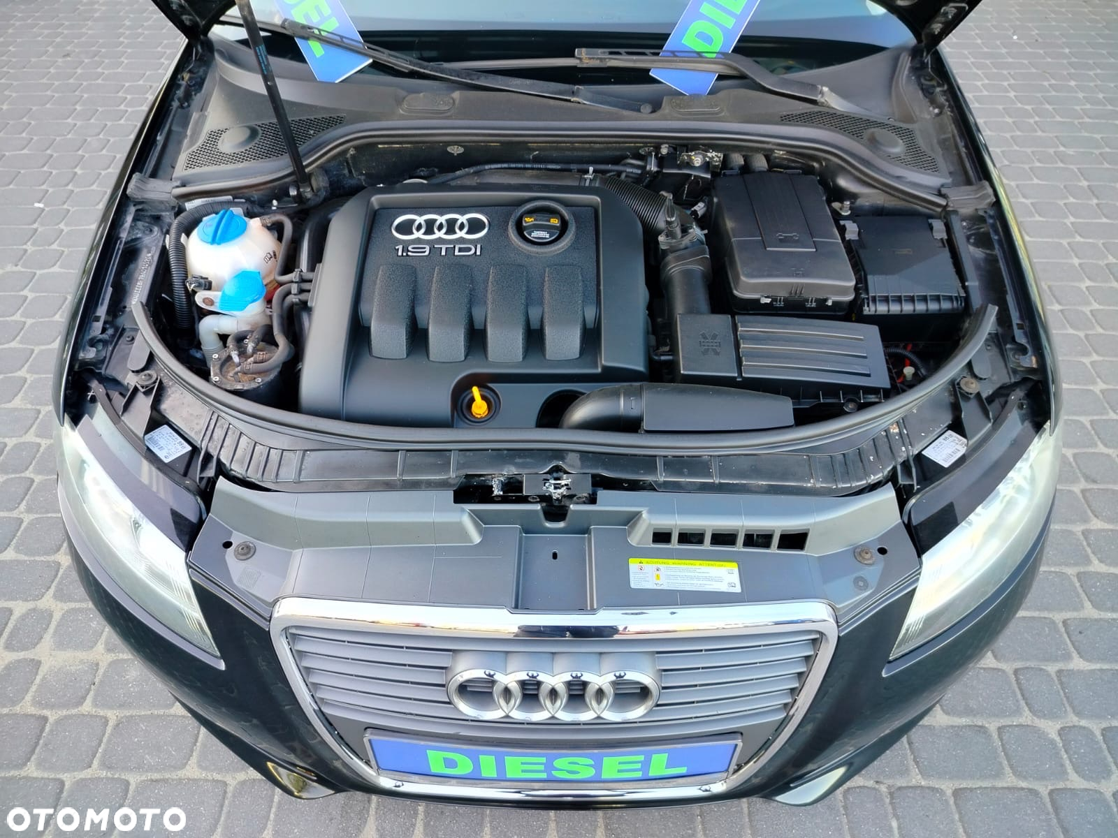 Audi A3 1.9 TDI Ambiente - 12
