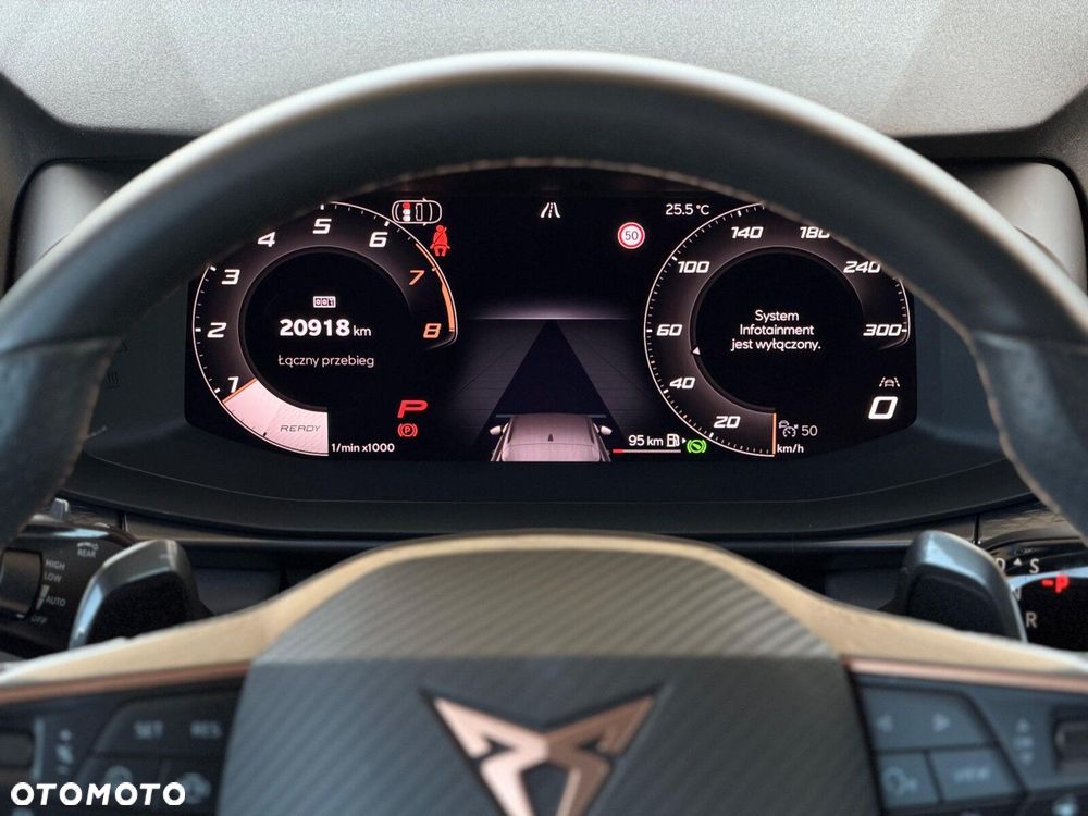 Cupra Terramar 2.0 TSI 4Drive DSG - 20