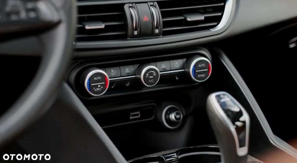 Alfa Romeo Giulia 2.0 Turbo TI Q4 - 19