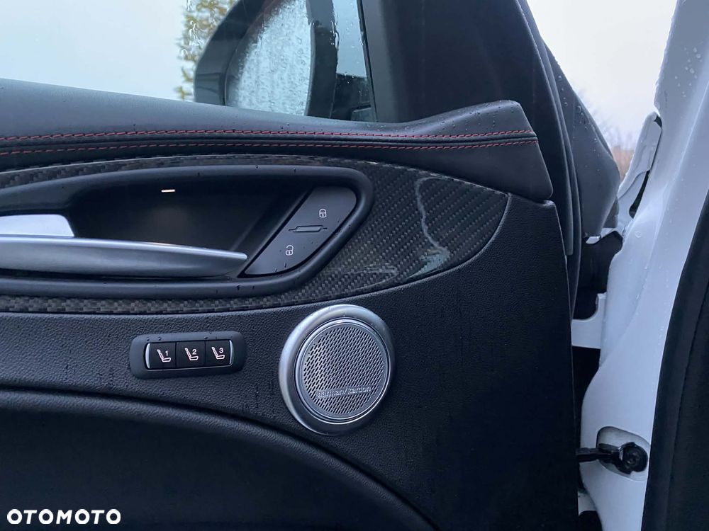 Alfa Romeo Stelvio 2.9 V6 Bi-Turbo Quadrifoglio Q4 - 22