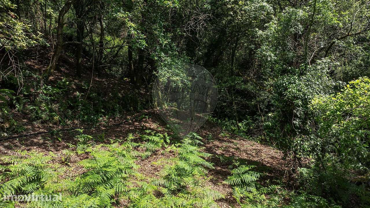 Terreno  para venda - Grande imagem: 2/24
