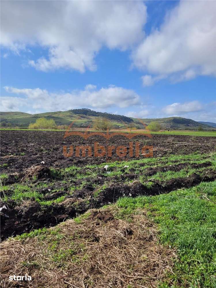 Teren de vanzare 2 parcele total 18.000m²50€ m² Gherla ! - Imagine principală: 4/5