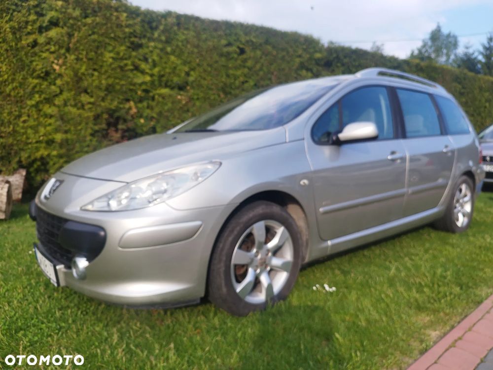 Peugeot 307 1.6 HDi - 14