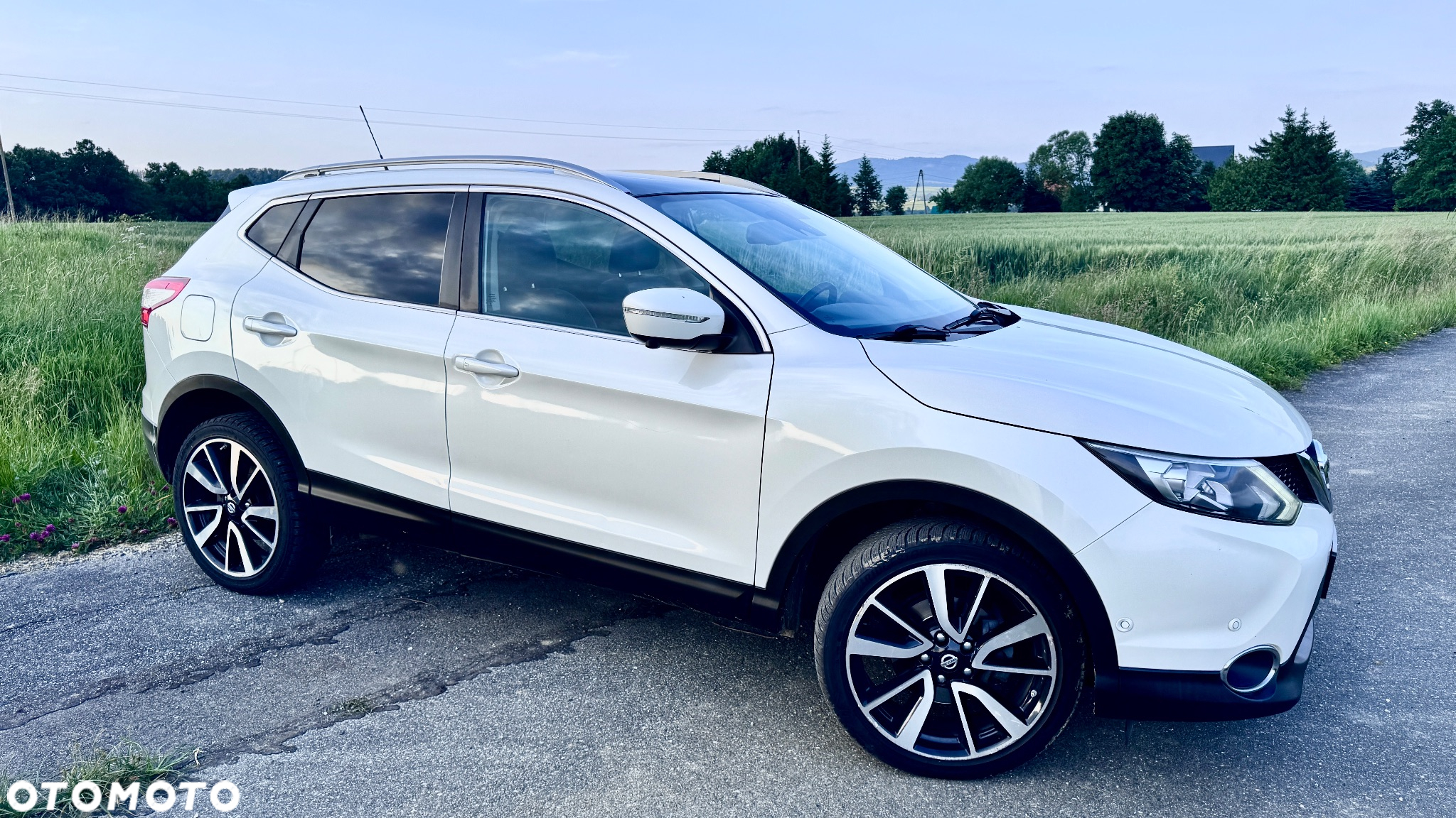 Nissan Qashqai 1.6 dCi 4x4 360 S&S - 2