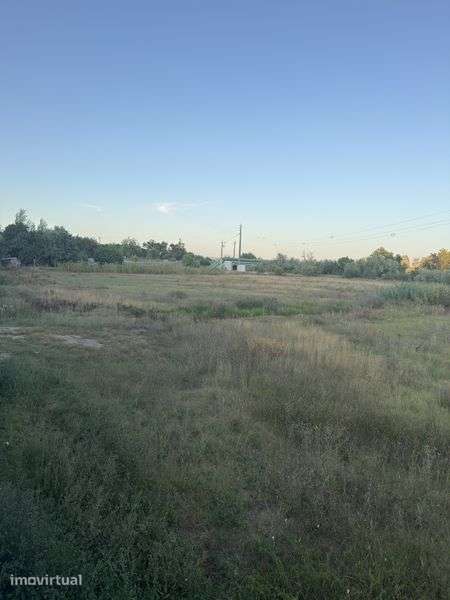 Terreno para alugar 15 mil metros quadrados - Grande imagem: 2/8