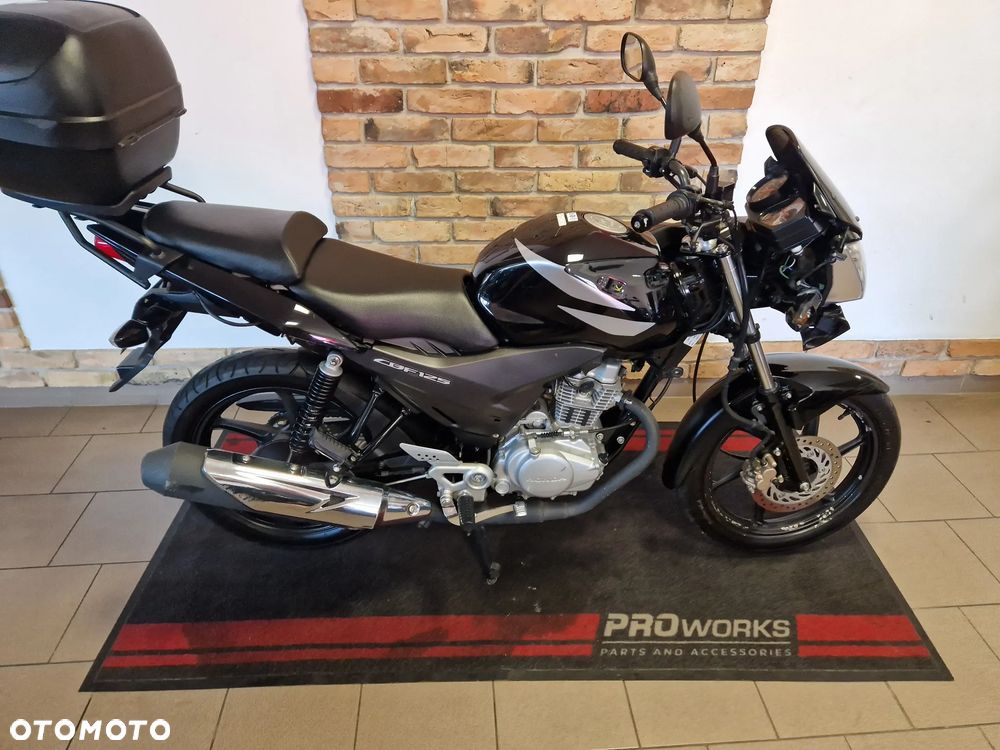 Honda CBF - 8