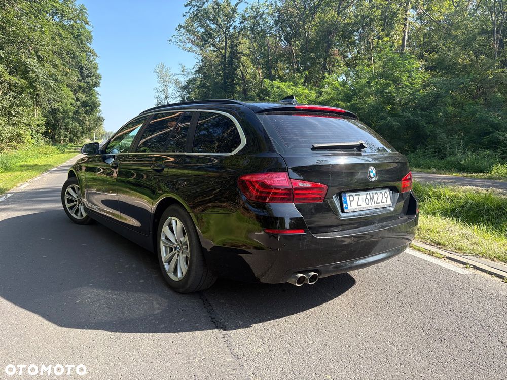 BMW Seria 5 520d Edition Fleet - 7