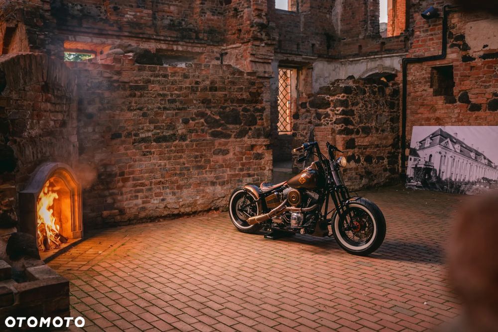 Harley-Davidson Softail Cross Bones - 19