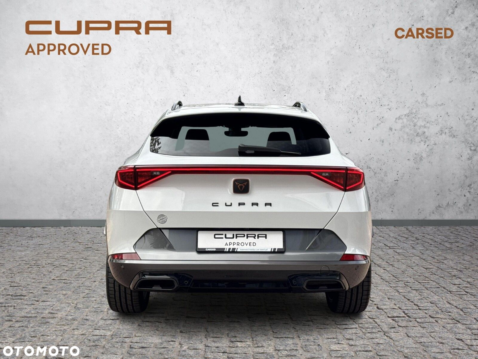 Cupra Formentor 2.0 TDI 4Drive DSG - 4