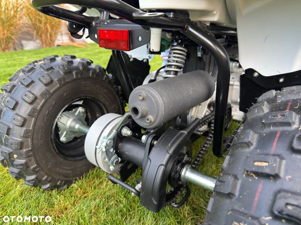 Yamaha YFZ - 19