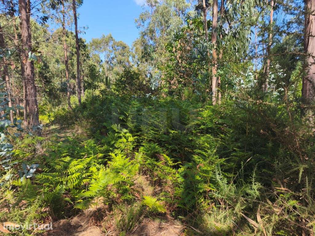 Terreno rústico em zona de construção - Grande imagem: 3/4