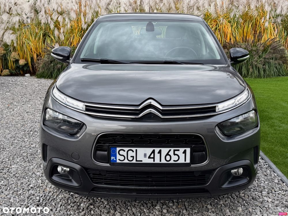 Citroën C4 Cactus Pure Tech e-THP 110 Stop&Start Shine - 11