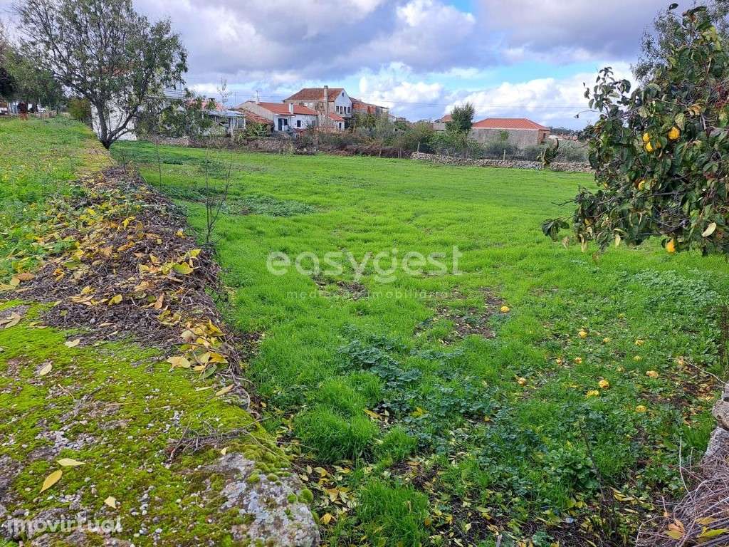 Excelente Moradia T6, com 1 800 m2 de terreno, em Carviçais - Grande imagem: 4/26