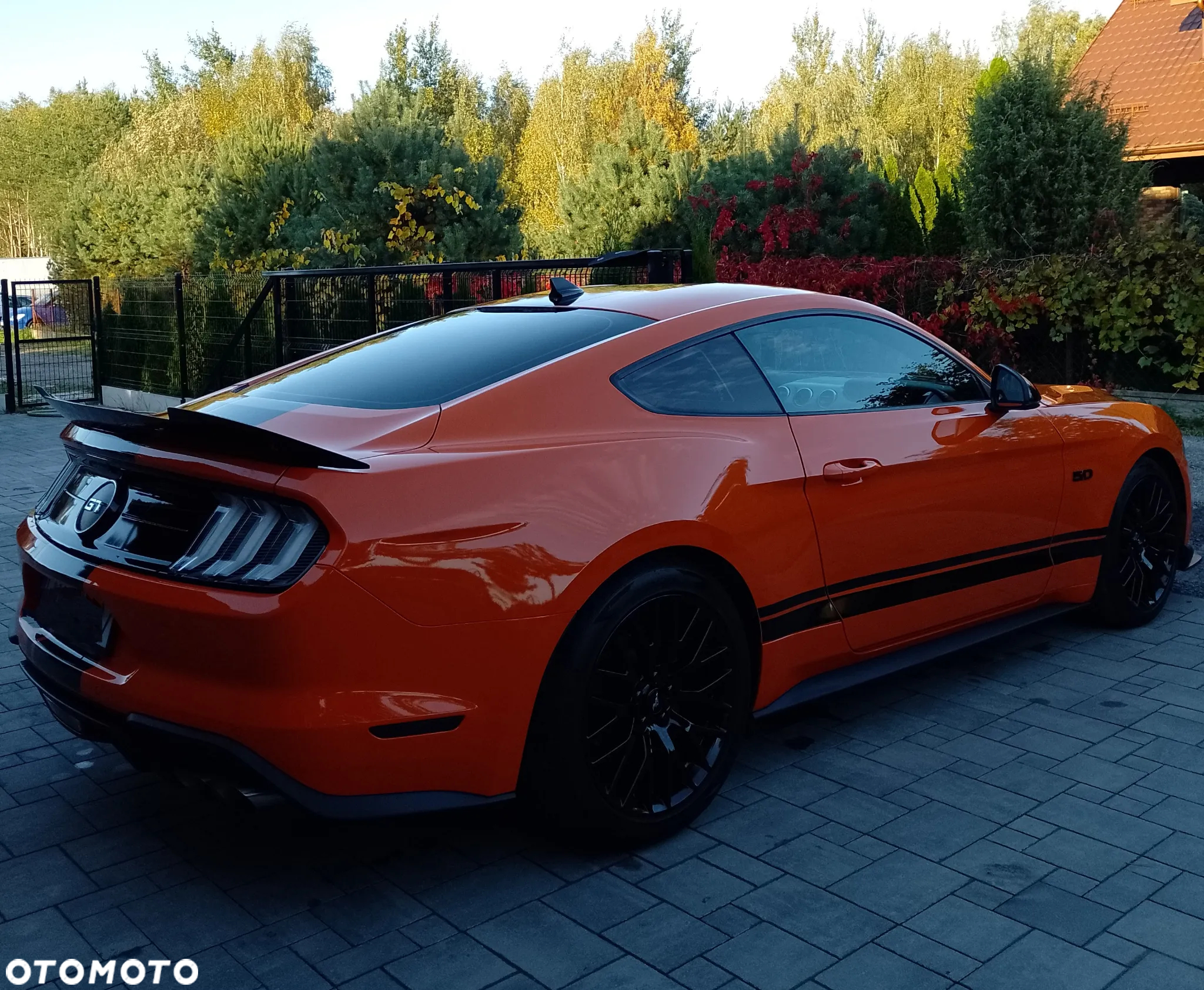 Ford Mustang - 13