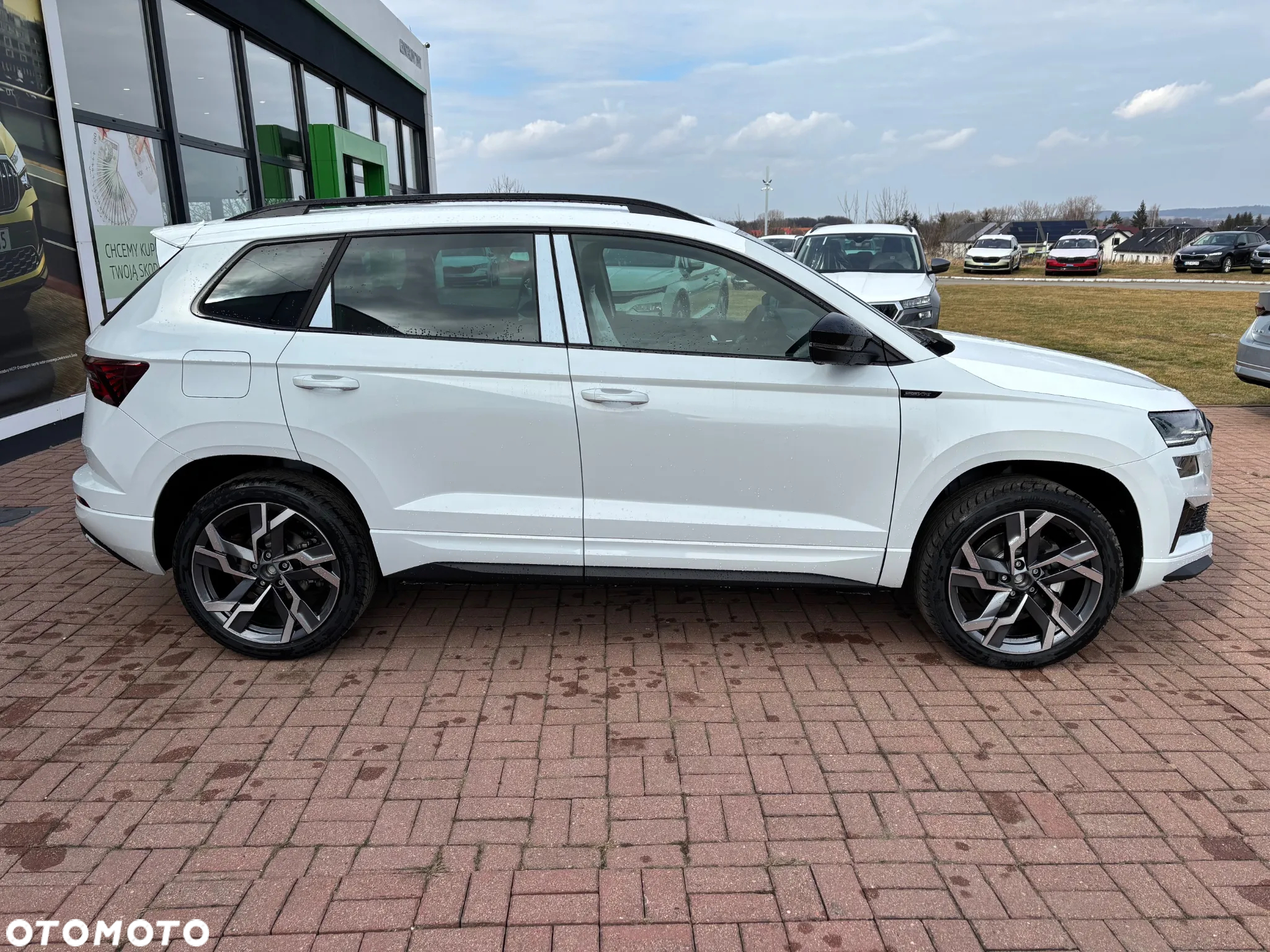 Skoda Karoq 2.0 TSI 4x4 Sportline DSG - 6