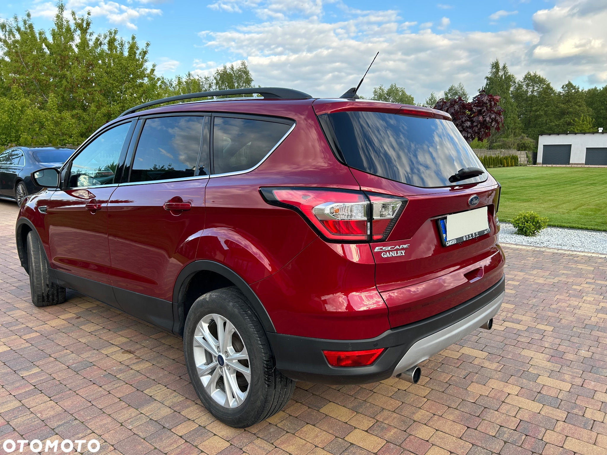 Ford Escape 1.5 EcoBoost AWD SE - 8