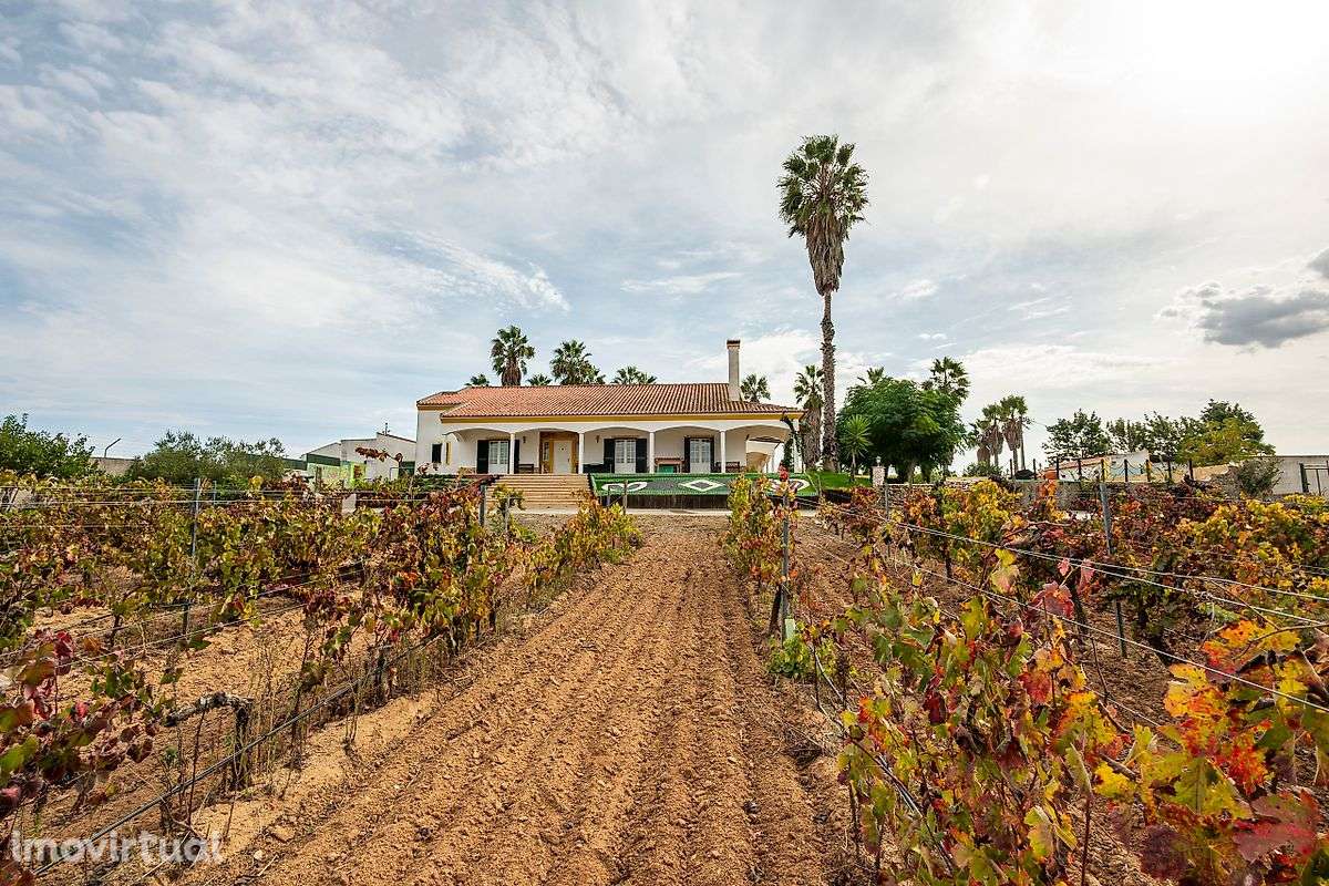 Quinta T5 para venda - Grande imagem: 3/39