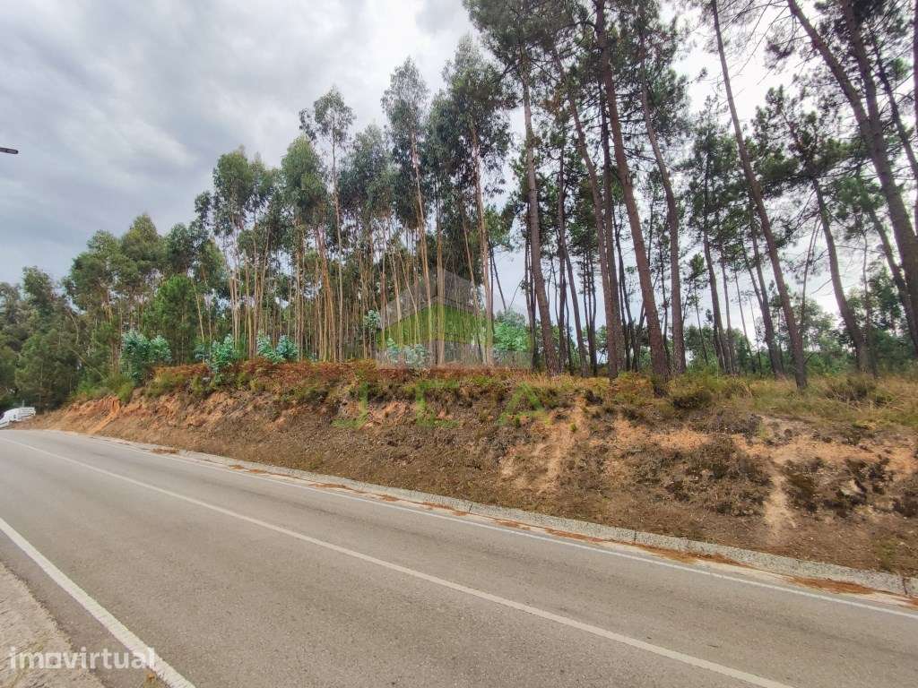 Terreno de construção na zona da Caranguejeira - Grande imagem: 3/4