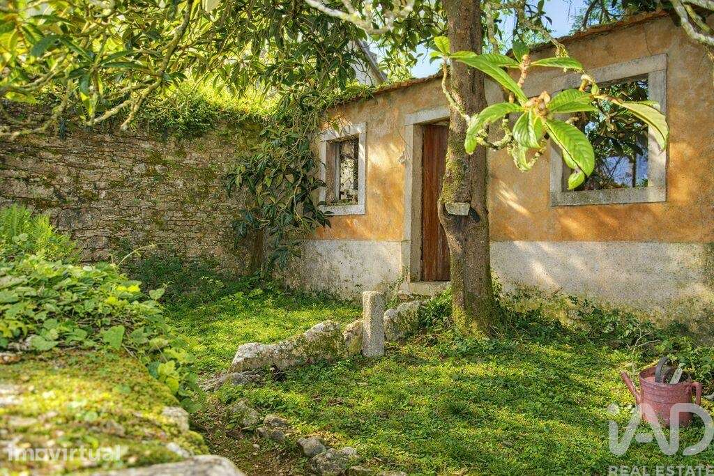 Casa de Campo em Chãos - Grande imagem: 2/7