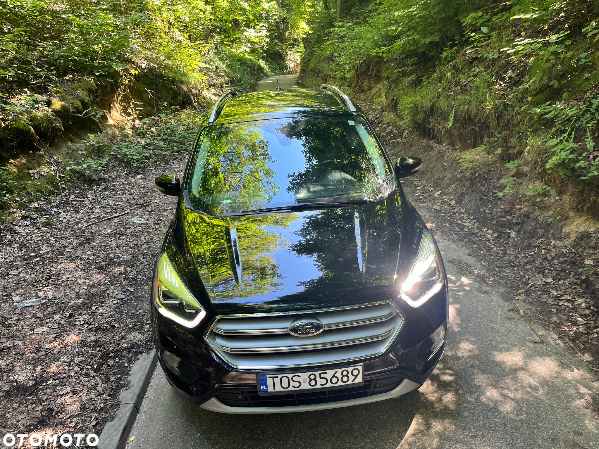 Ford Escape 2.0 EcoBoost AWD Titanium - 6