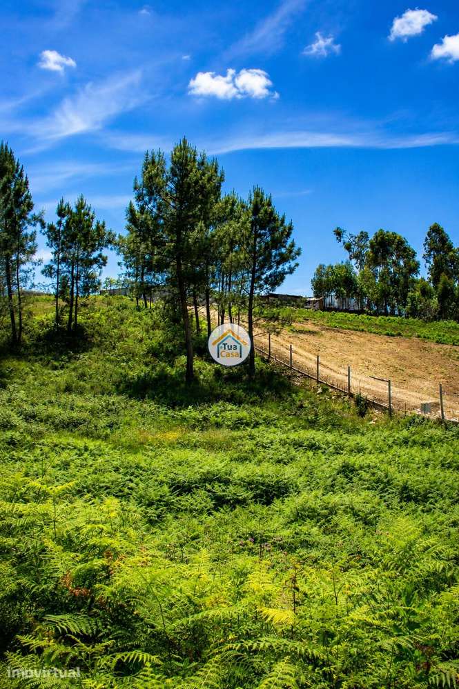 Terreno para Construção em Zona de Elevado Potencial –  Olival | Vila - Grande imagem: 5/7