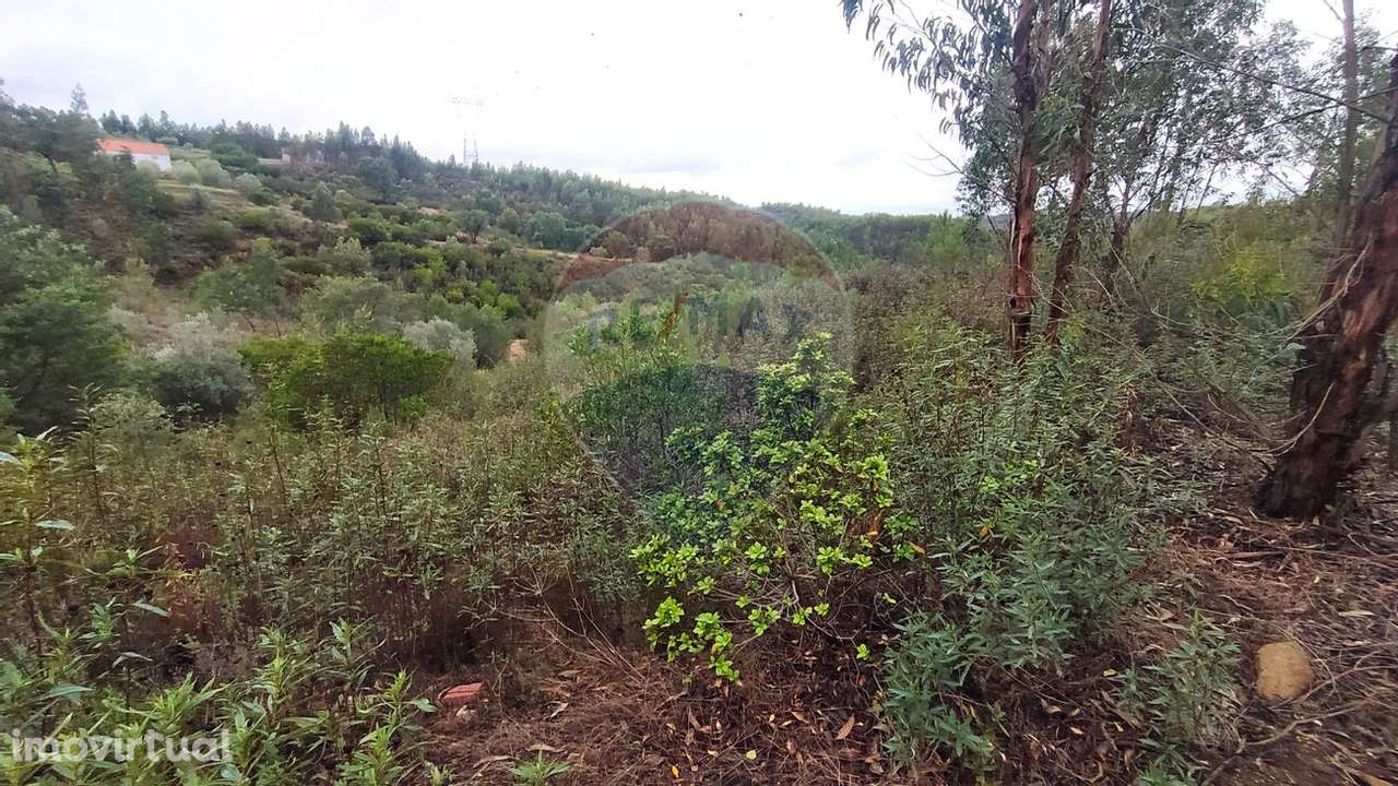 Terreno  para venda - Grande imagem: 2/5