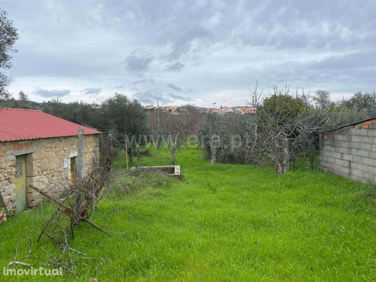 Quintinha T1 / Fundão, Atalaia do Campo - Grande imagem: 2/3