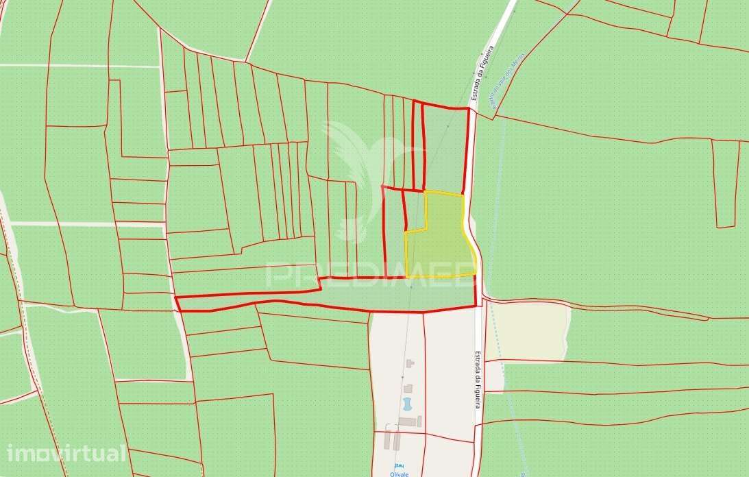 Terreno com Olival Tradicional – 11.250 m² | Estrada da Figueira, C... - Grande imagem: 5/27