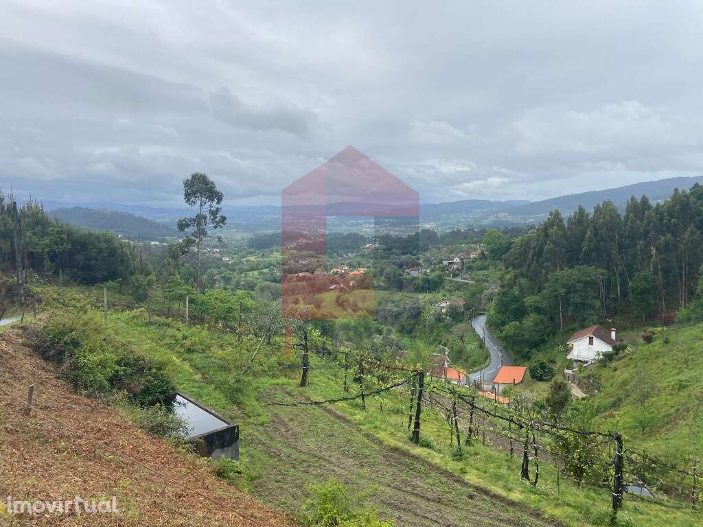 Terreno Agrícola, Barros - Grande imagem: 2/6