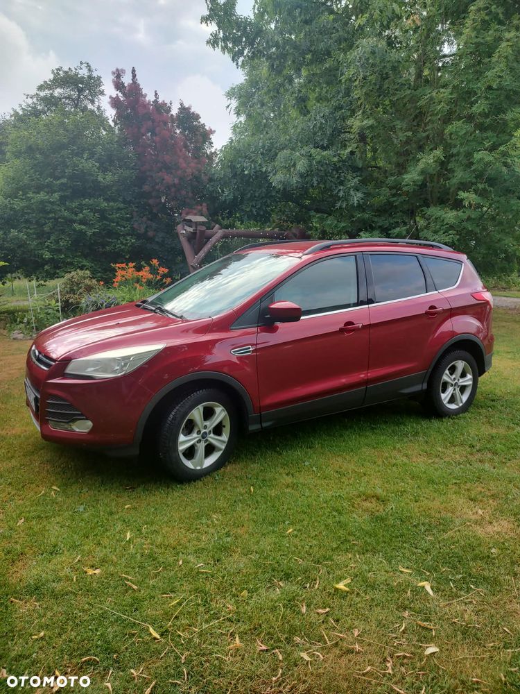 Ford Escape - 6