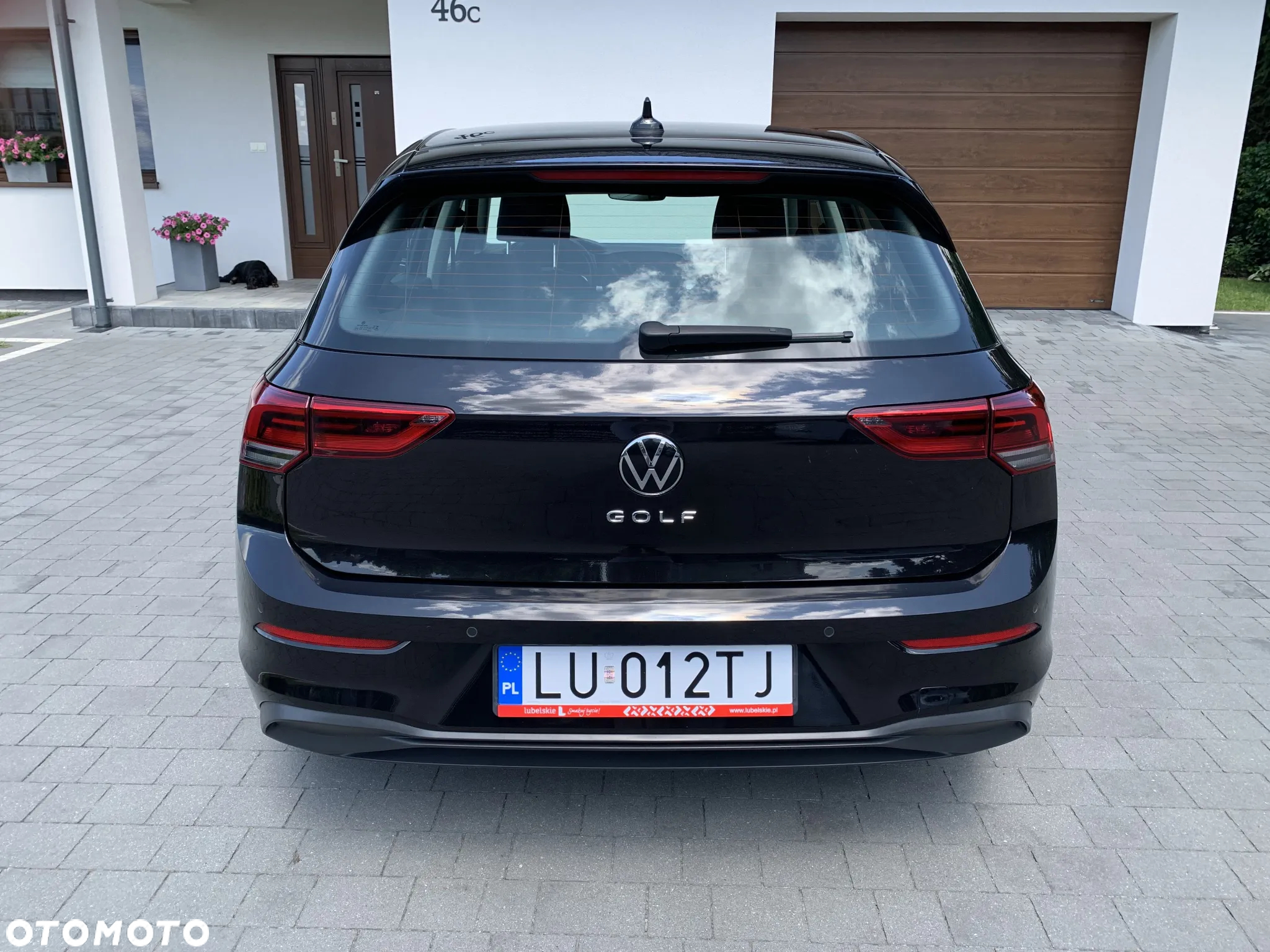 Volkswagen Golf VIII 1.0 TSI - 4