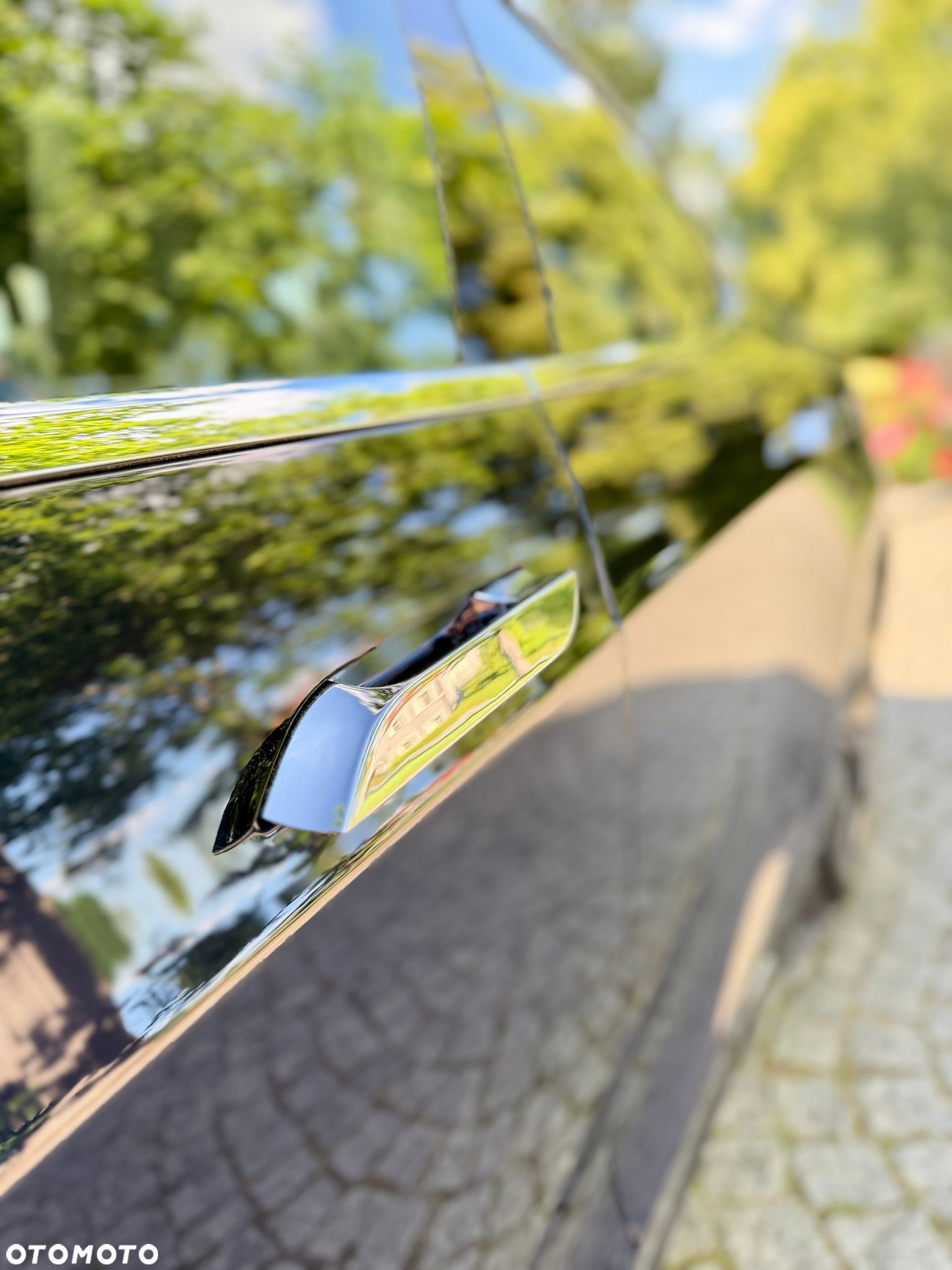 Tesla Model S Performance - 14