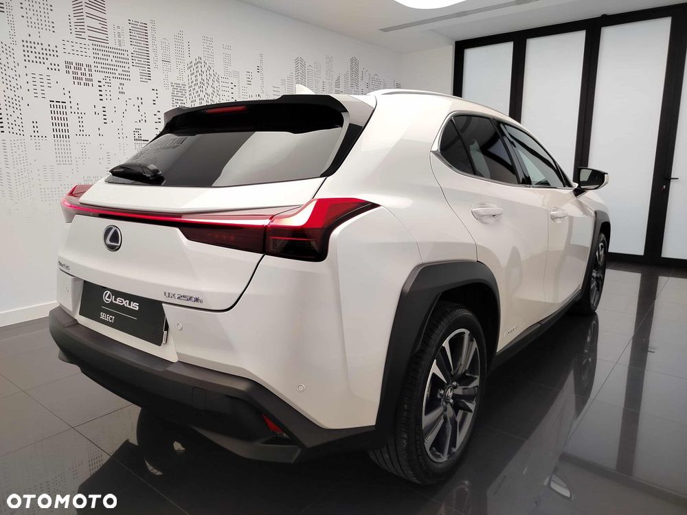 Lexus UX 250h GPF Business Edition 2WD - 4