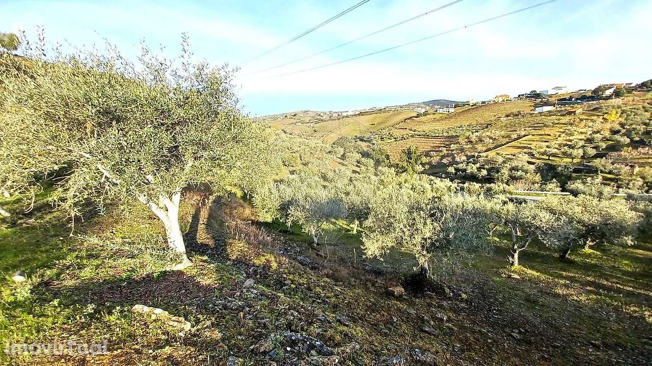 Terreno  para venda - Grande imagem: 5/5