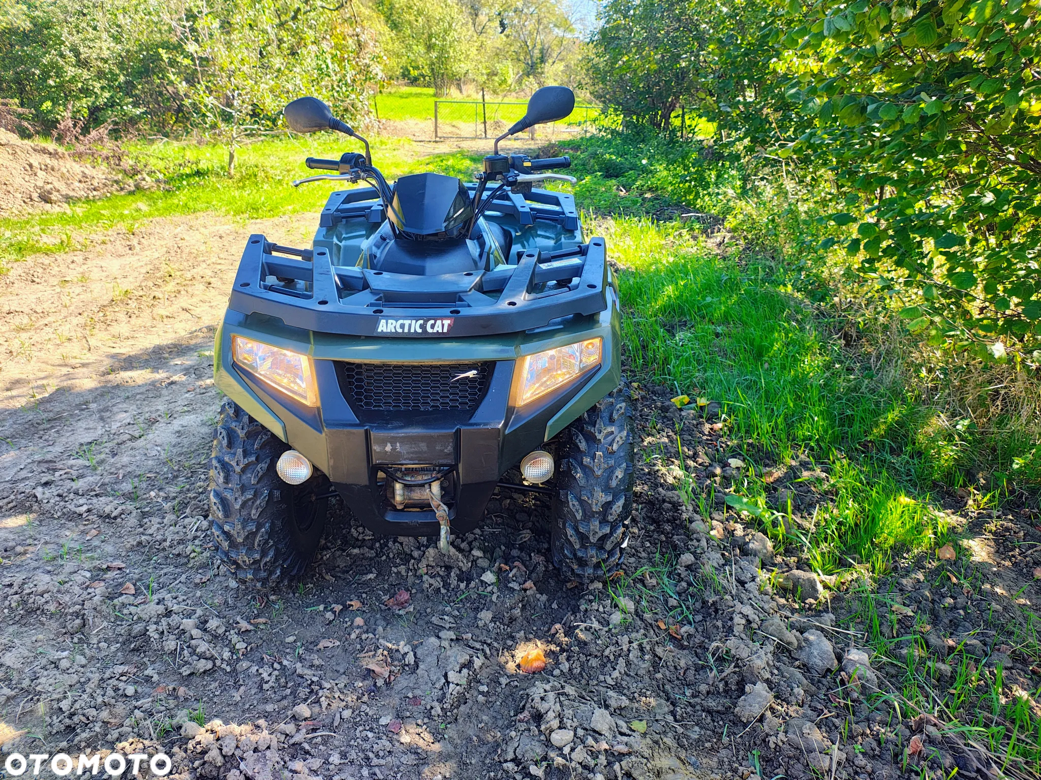 Arctic Cat Inny - 2