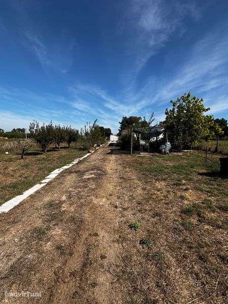 Terreno com 2 casas habitadas - Grande imagem: 4/10