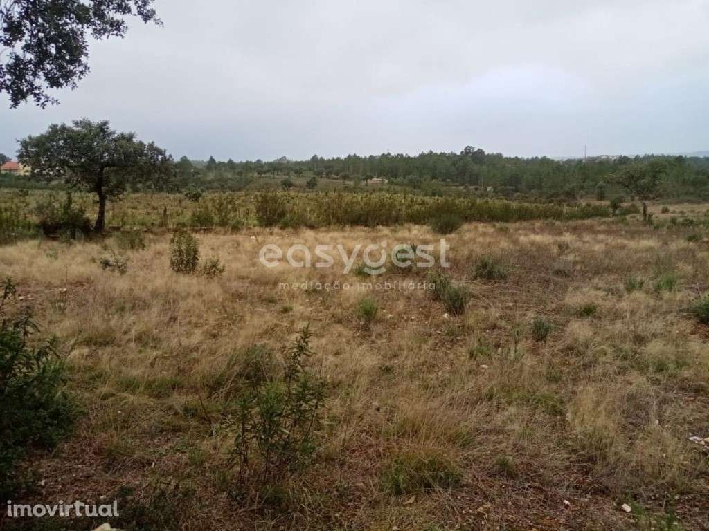 Excelente Terreno Rústico na freguesia de Benquerencas , C. Branco - Grande imagem: 3/16