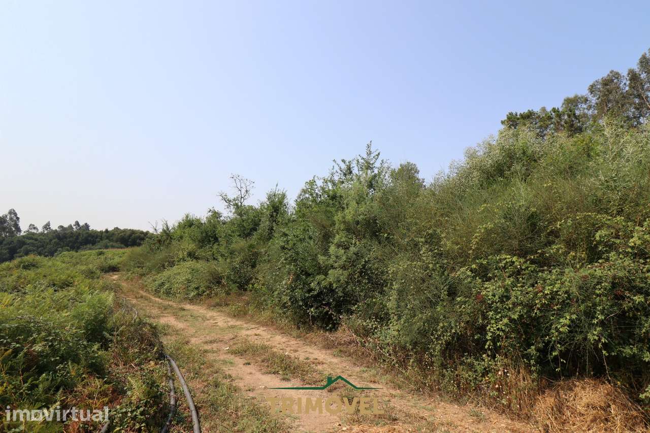 Terreno Para Construção  Venda em Vila de Cucujães,Oliveira de Azeméis - Grande imagem: 5/9