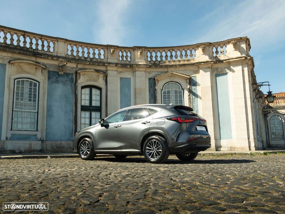 Lexus NX 450h+ - 25