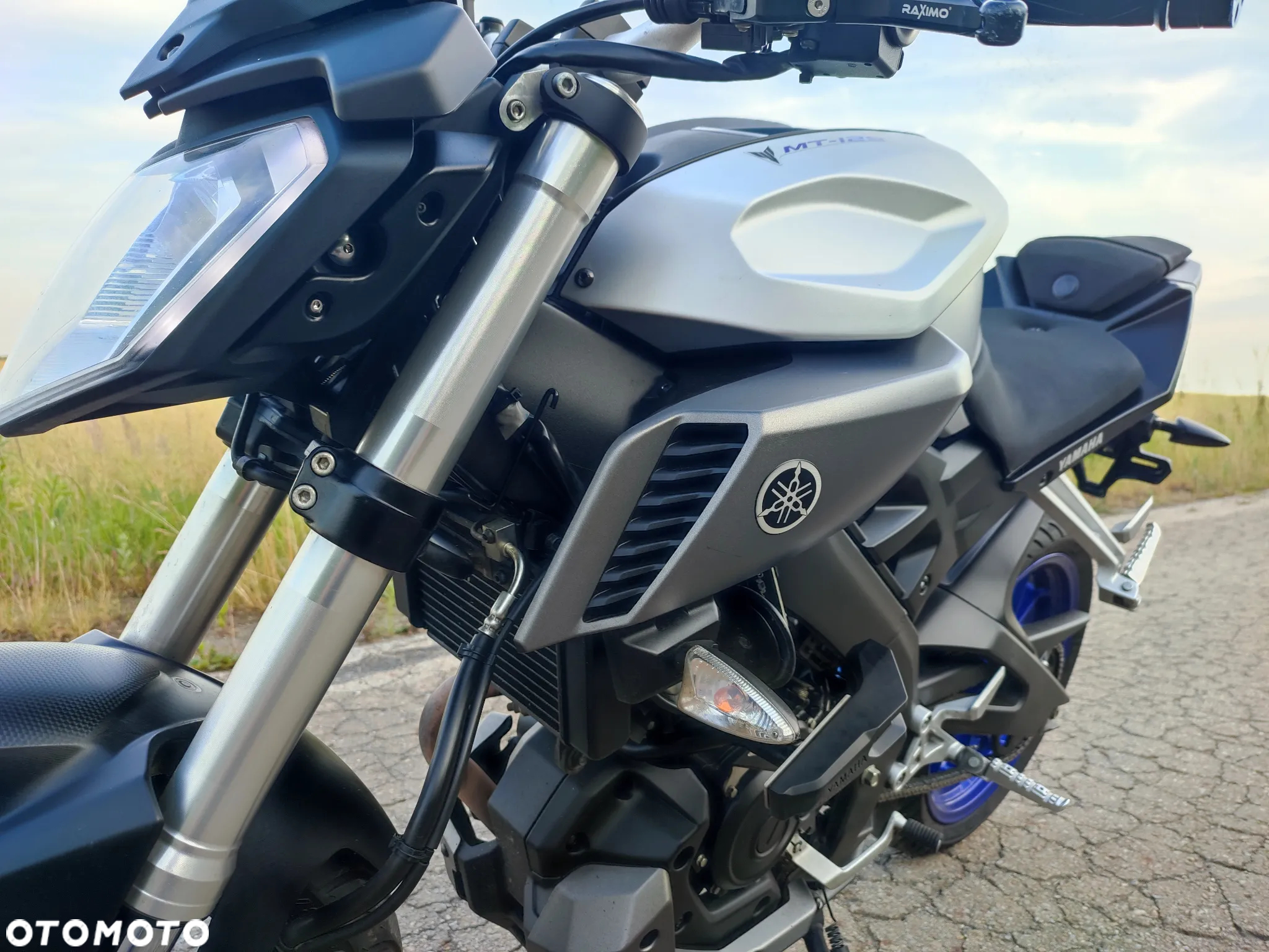 Yamaha MT - 6