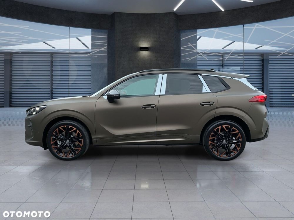 Cupra Terramar 2.0 TSI 4Drive Advantage Edition DSG - 4