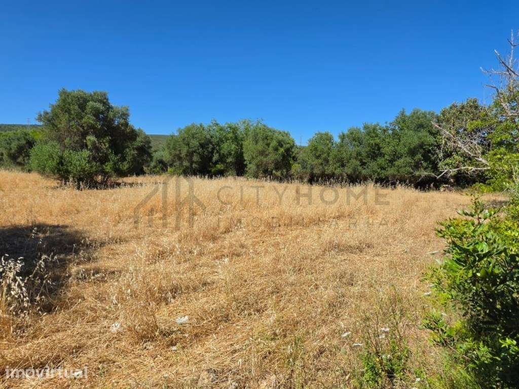 Terreno com ruína na Ribeira de Algibre no Concelho de Loulé Algarve - Grande imagem: 3/25