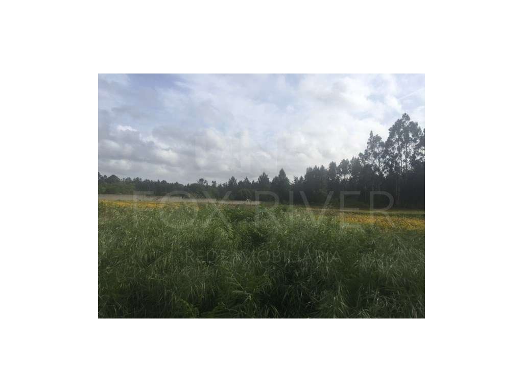 Lote de Terreno em Vila de Punhe - Grande imagem: 2/5