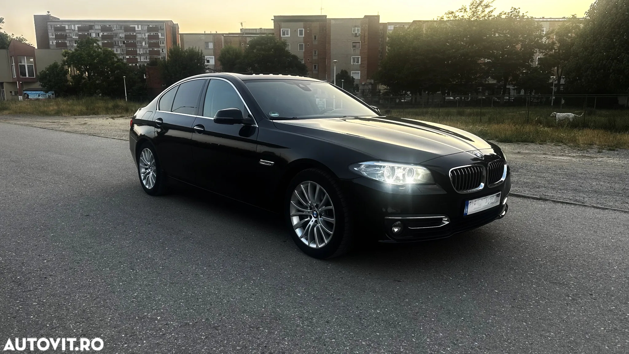 BMW Seria 5 525d Luxury Line - 2
