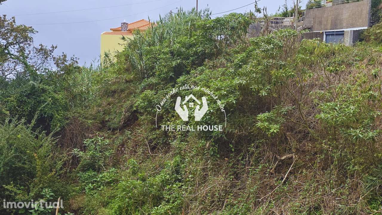 TERRENO - Ponta do Sol - Grande imagem: 3/6